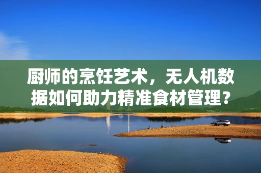 厨师的烹饪艺术，无人机数据如何助力精准食材管理？