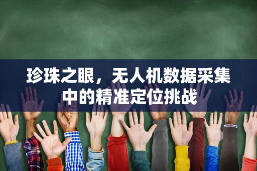 珍珠之眼，无人机数据采集中的精准定位挑战