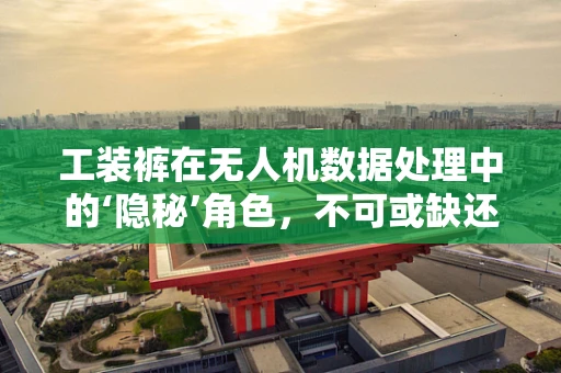 工装裤在无人机数据处理中的‘隐秘’角色，不可或缺还是过度解读？