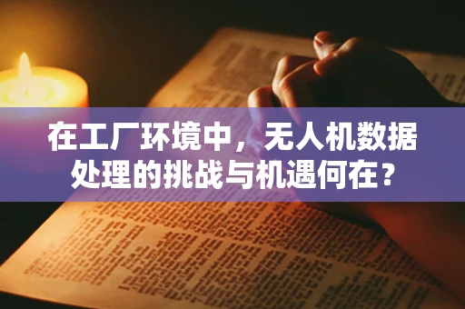 在工厂环境中，无人机数据处理的挑战与机遇何在？