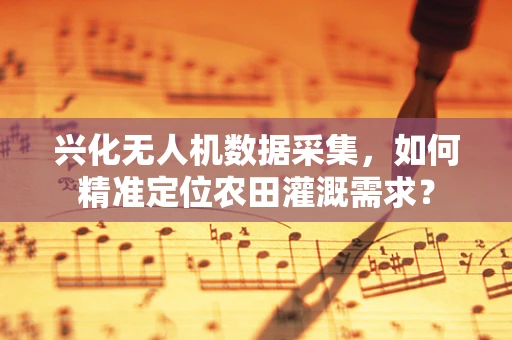 兴化无人机数据采集，如何精准定位农田灌溉需求？
