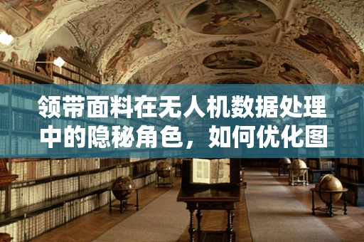 领带面料在无人机数据处理中的隐秘角色，如何优化图像识别精度？