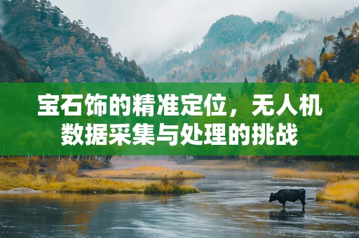 宝石饰的精准定位，无人机数据采集与处理的挑战