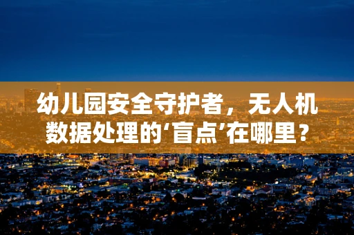 幼儿园安全守护者，无人机数据处理的‘盲点’在哪里？