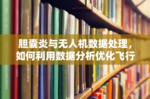 胆囊炎与无人机数据处理，如何利用数据分析优化飞行安全？