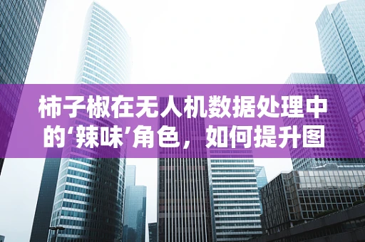 柿子椒在无人机数据处理中的‘辣味’角色，如何提升图像识别精度？