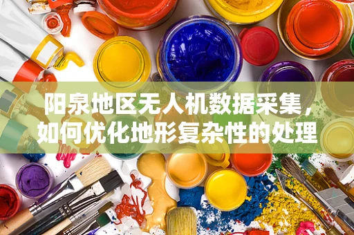 阳泉地区无人机数据采集，如何优化地形复杂性的处理策略？