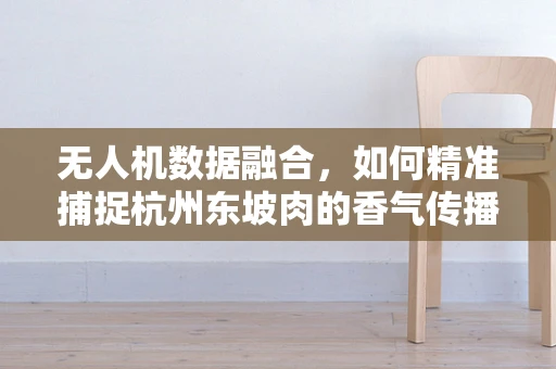 无人机数据融合，如何精准捕捉杭州东坡肉的香气传播？