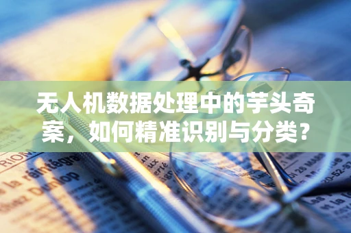 无人机数据处理中的芋头奇案，如何精准识别与分类？