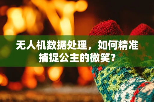无人机数据处理，如何精准捕捉公主的微笑？