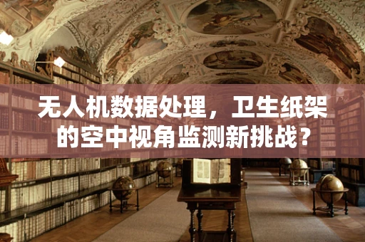 无人机数据处理，卫生纸架的空中视角监测新挑战？