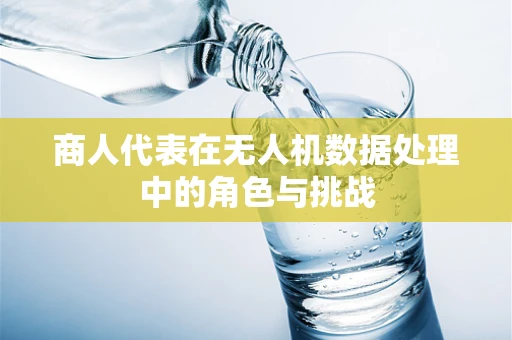 商人代表在无人机数据处理中的角色与挑战