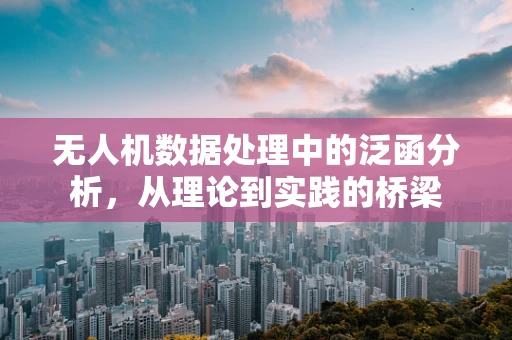 无人机数据处理中的泛函分析，从理论到实践的桥梁