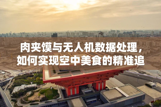 肉夹馍与无人机数据处理，如何实现空中美食的精准追踪？