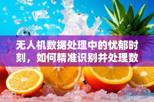 无人机数据处理中的忧郁时刻，如何精准识别并处理数据异常？