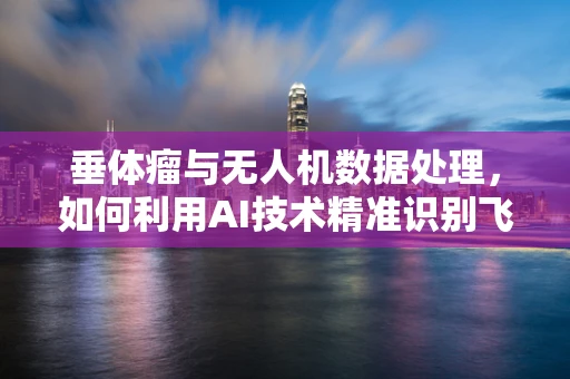 垂体瘤与无人机数据处理，如何利用AI技术精准识别飞行障碍？