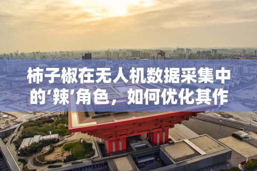 柿子椒在无人机数据采集中的‘辣’角色，如何优化其作为标识物的应用？
