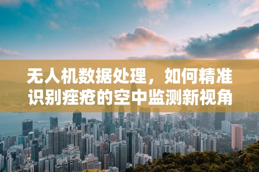 无人机数据处理，如何精准识别痤疮的空中监测新视角？