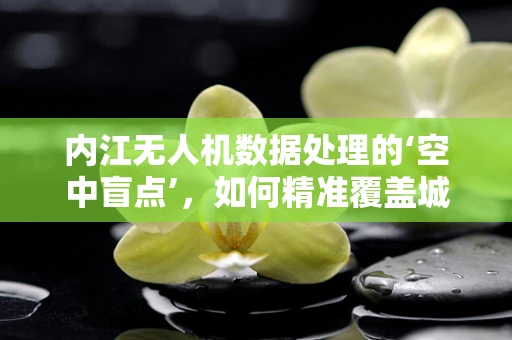 内江无人机数据处理的‘空中盲点’，如何精准覆盖城市角落？