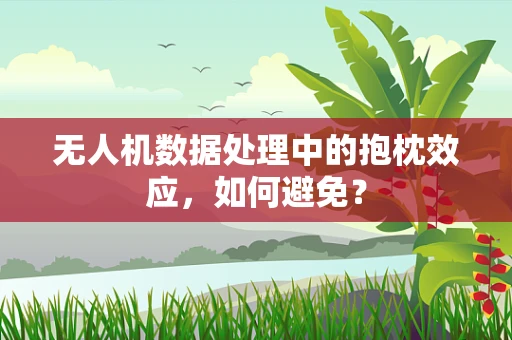 无人机数据处理中的抱枕效应，如何避免？