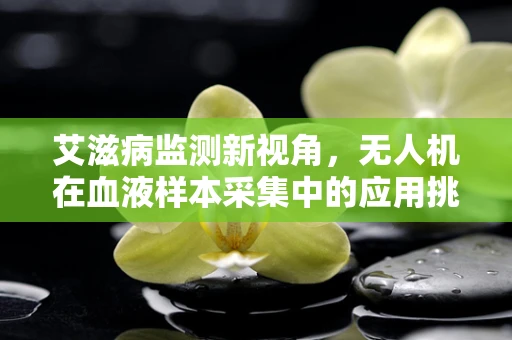 艾滋病监测新视角，无人机在血液样本采集中的应用挑战