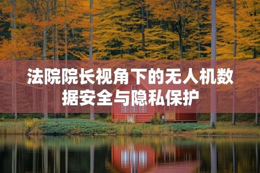法院院长视角下的无人机数据安全与隐私保护