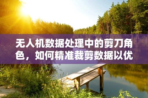 无人机数据处理中的剪刀角色，如何精准裁剪数据以优化飞行决策？