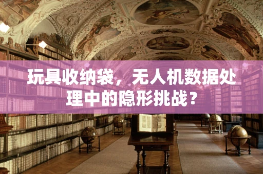 玩具收纳袋，无人机数据处理中的隐形挑战？