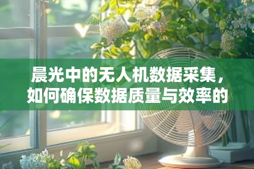 晨光中的无人机数据采集，如何确保数据质量与效率的平衡？