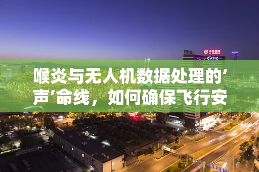 喉炎与无人机数据处理的‘声’命线，如何确保飞行安全？