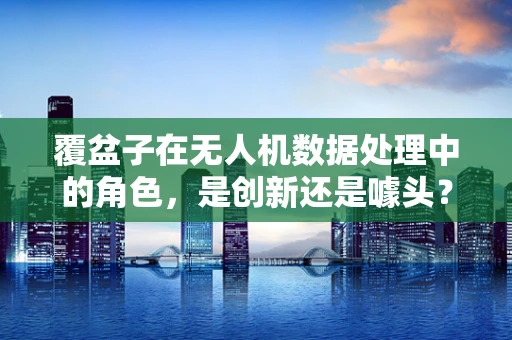 覆盆子在无人机数据处理中的角色，是创新还是噱头？