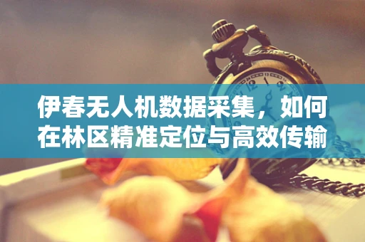 伊春无人机数据采集，如何在林区精准定位与高效传输？
