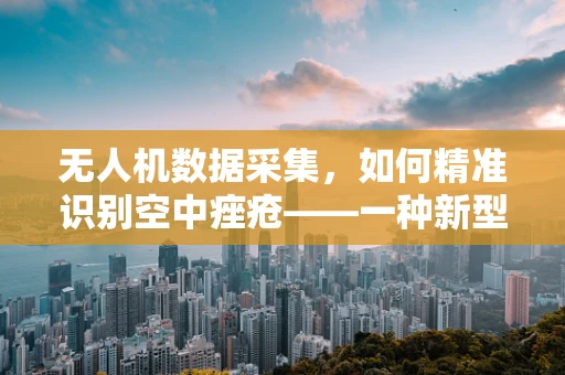 无人机数据采集，如何精准识别空中痤疮——一种新型地理异常的监测挑战？