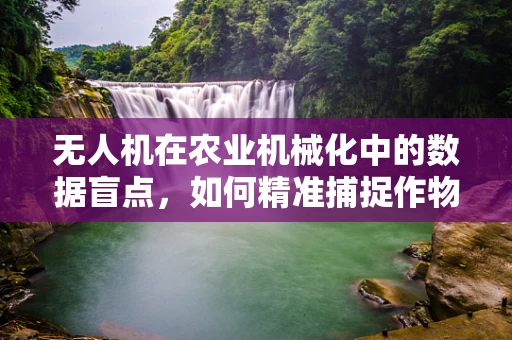 无人机在农业机械化中的数据盲点，如何精准捕捉作物健康全貌？