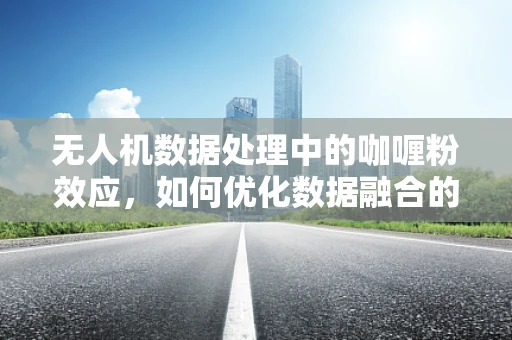 无人机数据处理中的咖喱粉效应，如何优化数据融合的香料