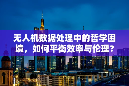 无人机数据处理中的哲学困境，如何平衡效率与伦理？