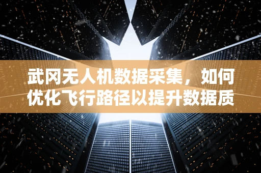 武冈无人机数据采集，如何优化飞行路径以提升数据质量？