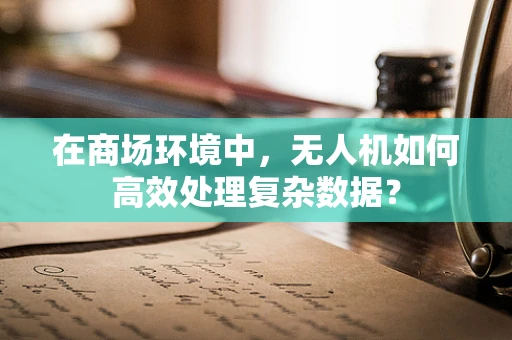 在商场环境中，无人机如何高效处理复杂数据？