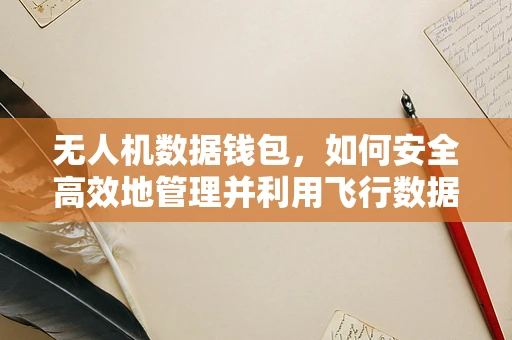 无人机数据钱包，如何安全高效地管理并利用飞行数据？