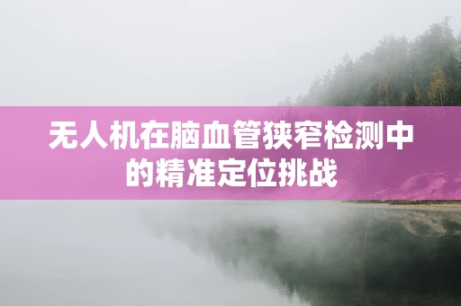 无人机在脑血管狭窄检测中的精准定位挑战