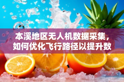 本溪地区无人机数据采集，如何优化飞行路径以提升数据处理效率？