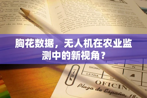 胸花数据，无人机在农业监测中的新视角？