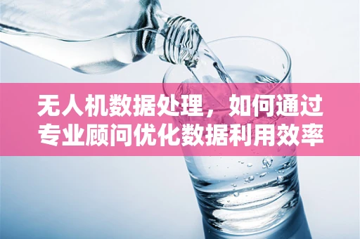 无人机数据处理，如何通过专业顾问优化数据利用效率？