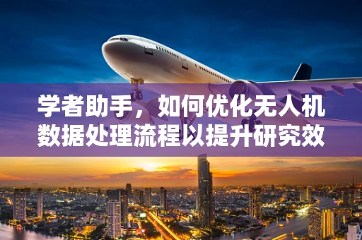 学者助手，如何优化无人机数据处理流程以提升研究效率？