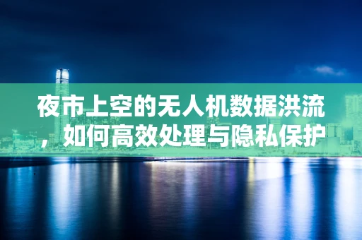 夜市上空的无人机数据洪流，如何高效处理与隐私保护并重？