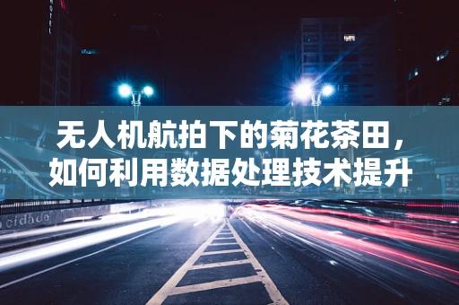 无人机航拍下的菊花茶田，如何利用数据处理技术提升茶叶品质？