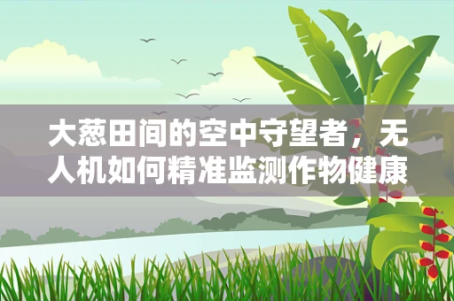 大葱田间的空中守望者，无人机如何精准监测作物健康？