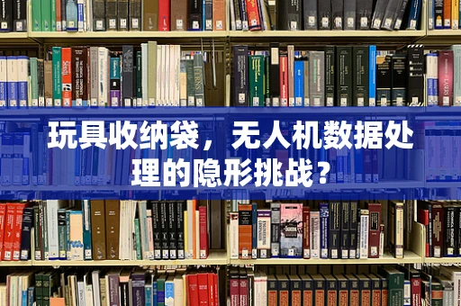 玩具收纳袋，无人机数据处理的隐形挑战？