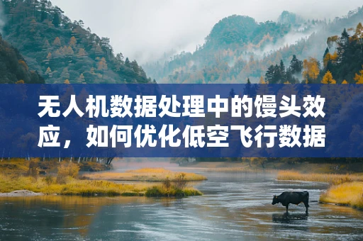 无人机数据处理中的馒头效应，如何优化低空飞行数据收集？