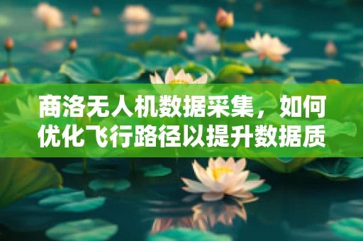 商洛无人机数据采集，如何优化飞行路径以提升数据质量？